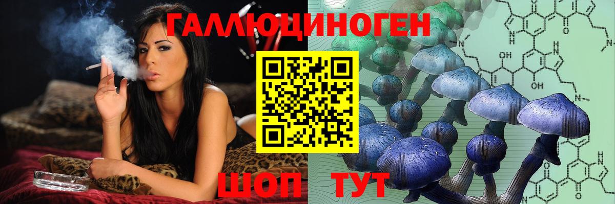 Псилоцибиновые грибы Cubensis  где продают наркотики  Тара  Вход с VPN  Псилоцибиновые грибы GOLDEN TEACHER 