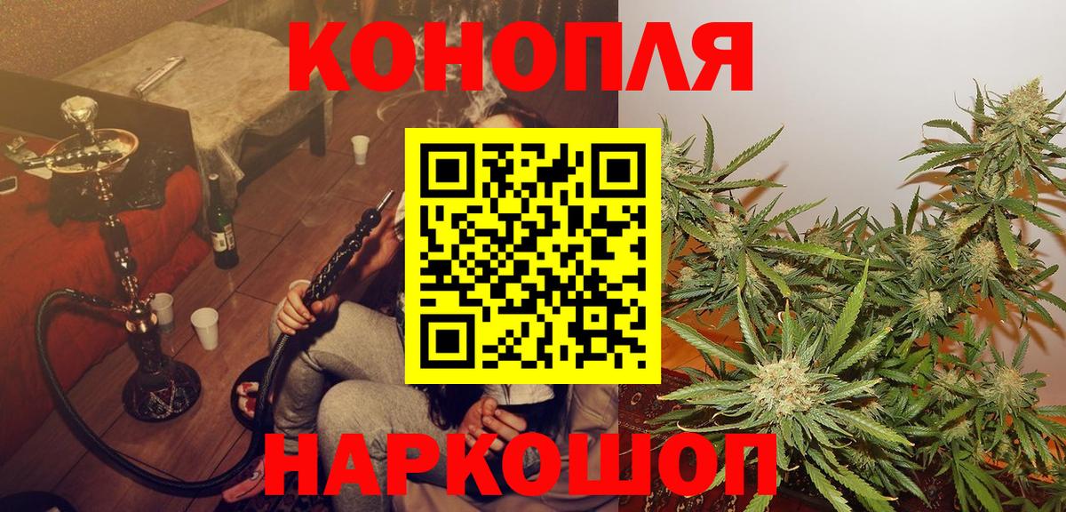 Конопля индика  Вход с VPN  МАРИХУАНА ГИДРОПОН  Тара  МАРИХУАНА White Widow 